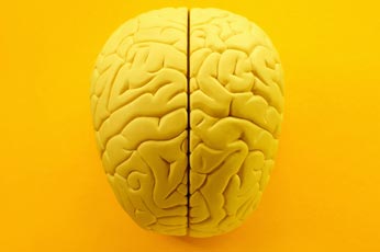 5 Steps to Improve Emotional Intelligence